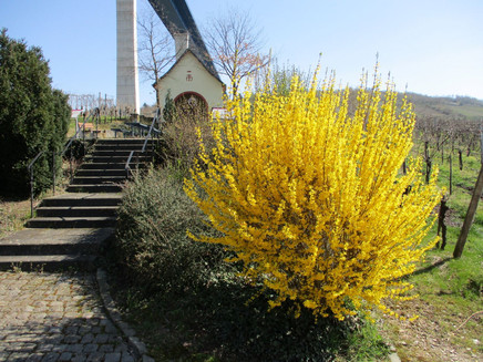 Alte Kirche am Ortsrand